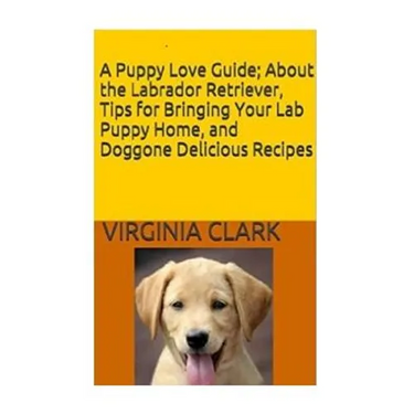 A Puppy Love Guide: About the Labrador Retriever, Tips for Bringing Your Lab Pup