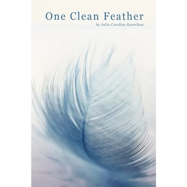 One Clean Feather
