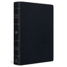 ESV Giant Print Thinline Bible, Red Letter (Genuine Leather, Black)