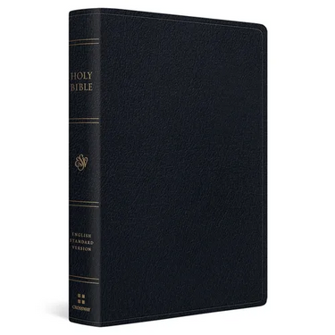 ESV Giant Print Thinline Bible, Red Letter (Genuine Leather, Black)