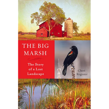 The Big Marsh: The Story of a Lost Landscape