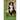 bernese moutain dog