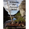 Witness the Forever Wild, A Guide to Favorite Hikes around the Adirondack High Peaks