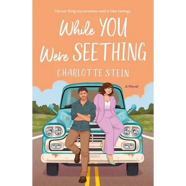 While You Were Seething