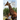 Smitten by Giraffe: My Life as a Citizen Scientist