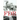 FDR