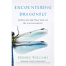 Encountering Dragonfly: Notes on the Practice of Re-Enchantment