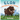 Elon the King of the Tetons