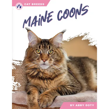 Maine Coons