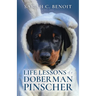 Life Lessons of a Doberman Pinscher