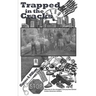Trapped in the Cracks