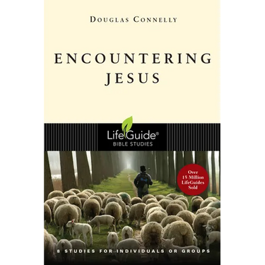 Encountering Jesus