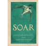 Soar: A Psychotherapist's Journey from Heartache to Health