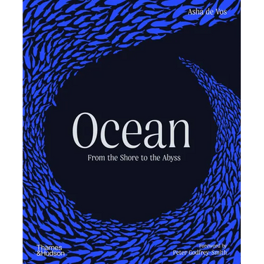 Ocean: From the Shore to the Abyss
