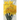 A Second Glance