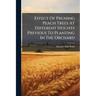 Effect Of Pruning Peach Trees At Different Heights Previous To Planting In The Orchard