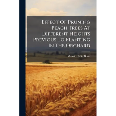 Effect Of Pruning Peach Trees At Different Heights Previous To Planting In The Orchard