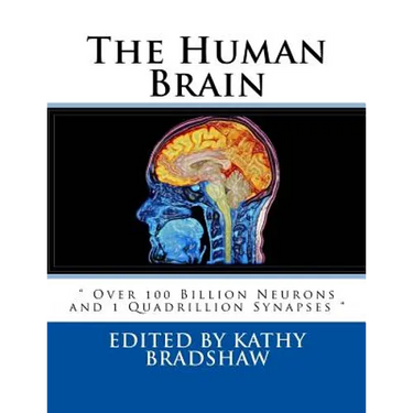 The Human Brain: " Over 100 Billion Neurons and 1 Quadrillion Synapses "