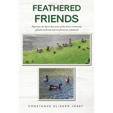 Feathered Friends: Experience the day-to-day events of this diverse community of feathered friends and one friend not so feathered