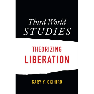 Third World Studies: Theorizing Liberation