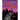 Possum Panic