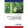 Morphological and genetic variation of three populations of Bullfrog