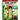 Word Ladders for Grades K - 1: 80 Vocabulary building word puzzles to enhance reading and writing skills in early learners Word ladder for Kindergarte