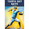 Tampa Bay Rays Fun Facts
