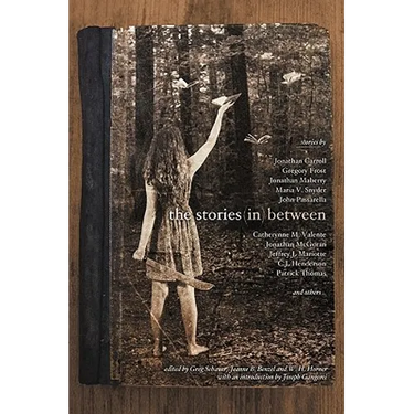The Stories in Between: A Between Books Anthology