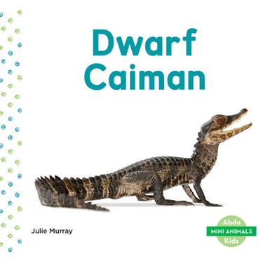 Dwarf Caiman