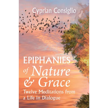 Epiphanies of Nature and Grace: Twelve Meditations from a Life in Dialogue