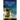 Every Window Filled with Light