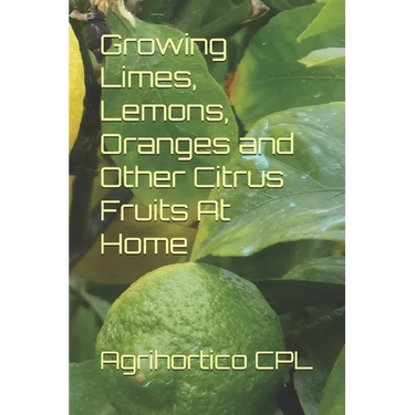 Growing Limes, Lemons, Oranges and Other Citrus Fruits At Home
