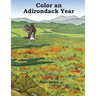 Color an Adirondack Year