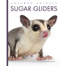 Sugar Gliders
