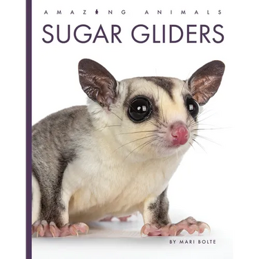 Sugar Gliders