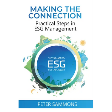 Making the Connection: Practical Steps in ESG Management
