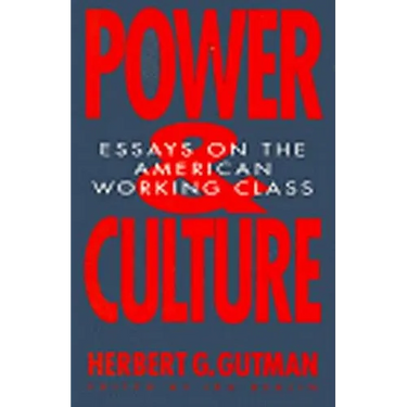 Power and Culture: Essays on the American Working Class