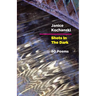 Shots in the Dark: Eighty Poems