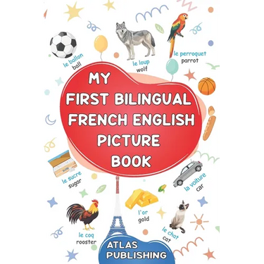 My first bilingual French English picture book: 500 words in the French language - A visual dictionary with illustrated words on everyday themes - Lea