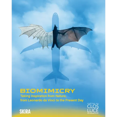 Biomimicry: Taking Inspiration from Nature: From Leonardo Da Vinci to the Present Day