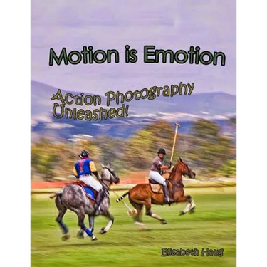 Motion Is Emotion: Action Photography Unleashed
