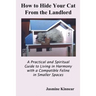 How to Hide Your Cat from the Landlord: A Practical and Spiritual Guide to Living in Harmony with a Compatible Feline in Smaller Spaces