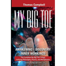 My Big TOE Awakening Discovery Inner Workings: The Complete My Big TOE Trilogy Unifying Philosophy, Physics, and Metaphysics