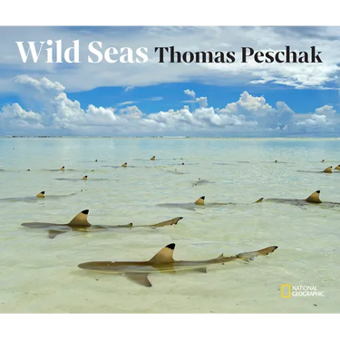 Wild Seas