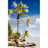 Papa Mike's Cook Islands Handbook Second Edition