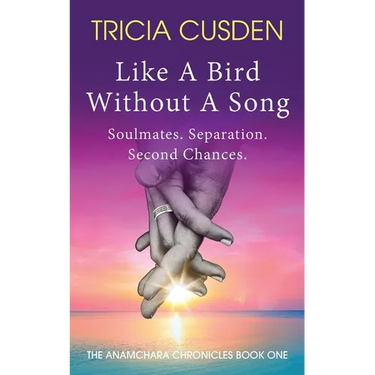Like A Bird Without A Song: Soul Mates. Separation. Second Chances