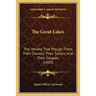 The Great Lakes: The Vessels That Plough Them, Their Owners, Their Sailors, And Their Cargoes (1909)
