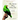 The Parrot Who Owns Me: The Story of a Relationship