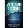 When Grief Descends: Suffering, Consolation, And The Book Of Job